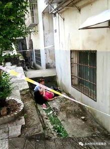 湖南永州零陵爆料案件最新,真相浮出水面，疑云逐步揭开